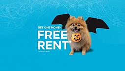 Pet-friendly Three Bedroom Two Bath With In-suite Laundry For Re