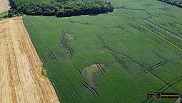 Real Estate Auction - 321 Acres W/ Home Parcel - Pine Falls, Mb