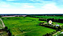 Limitless Possibilities With This 68.85 Acre Property