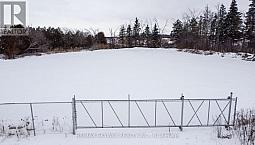 14182 Highway 50 Caledon, Ontario