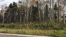 26 840$ - Terrain Résidentiel À St-Honore-De-Temiscouata