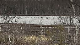 495 000$ - Terre À Bois À Vendre À Nd-Du-Mont-Carmel
