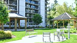 204 6455 Willingdon Avenue Burnaby, British Columbia