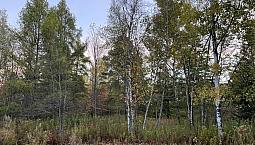 $405,000 - Residential Lot For Sale In Shefford