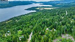 Mountain Drive Lot# 40 Anglemont, British Columbia