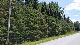 179 000$ - Terrain Résidentiel À Vendre À Ste-Sabine