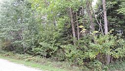 Lakefront Lot