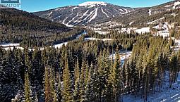 Lot 8 Mcgillivray Lake Drive Sun Peaks, British Columbia