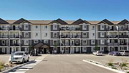 Pet-Friendly One Bedroom One Bath With In-Suite Laundry For Rent