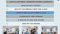 Brand New - 1 Bed + Den 1 Bath At Bluewater Apartments North