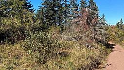 Vacant Land In Huntley 3 Acres $26,000.00