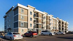 Pet-friendly One Bedroom One Bath With In-suite Laundry For Rent
