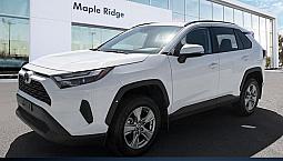 2025 Toyota Rav4 Xle | Apple Carplay | Heated Seats | Cruise