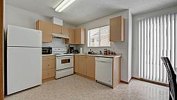 1 Bed X 1 Bath Apartment For Rent On 85Th Ave | $1210.00