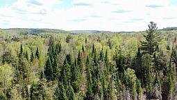 2 Ch. Du Rang 11 Litchfield, Quebec