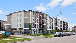 Pet-Friendly Two Bedroom One Bath With In-Suite Laundry For Rent