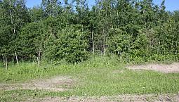 4.99 Beautiful Recreational/Country Residential Acres