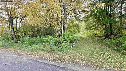 272 Welch Road Forest Hill, Nova Scotia