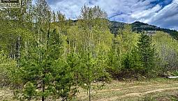 Highway 6 Lot# 4 Passmore, British Columbia