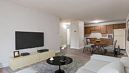 Affordable Apartments For Rent - Palm Road Apartments - Apartmen