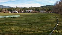 Check This Out  Land  Building  Business