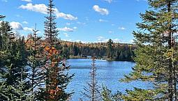 0 Rosien Road Bonnechere Valley, Ontario