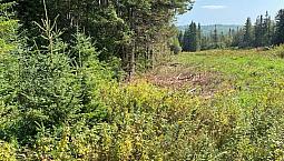 79 000$ - Terrain Résidentiel À Vendre À St-Ferréol-Les-Neiges
