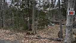 $65,000 - Residential Lot In Ste-Marguerite-Du-Lac-Masson