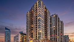 Pet Friendly Downtown Stella Condo With Incredible Views!