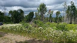 69 000$ - Terrain Récréatif À Vendre À St-Siméon-De-Bonaventure