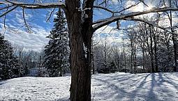 190 000$ - Terrain Résidentiel À Vendre À Lac-Brome