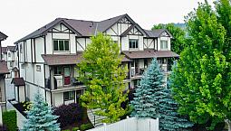 Original Owner Townhome In Black Mountain