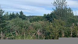 Ocean View Land Located In Scenic Plate Cove West
