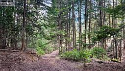 3945 Saunders Road Passmore, British Columbia