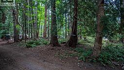 1311/15 Tennyson Rd Savary Island, British Columbia