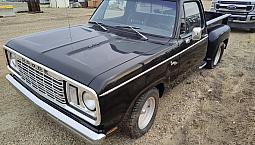1978 Dodge D - 100