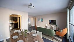 Downtown - Three-Bedroom Suites Available