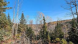$74,000 - Residential Lot For Sale In Baie-st-paul