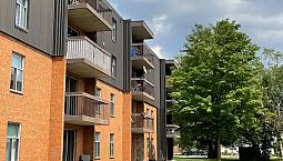 1 Bedroom Apartment In Ssm - Cooper Place