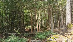 75 000$ - Terrain Résidentiel À Vendre À Wentworth