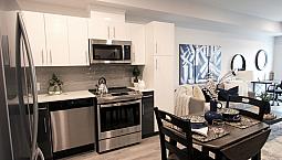 Brand New, Luxury Apartments In Jubilee For Rent - 1 Bedroom - D