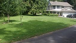 Acreage In Nanaimo/Cedar With  2 Houses