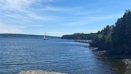 Ocean Frontage Land Right In The Heart Of Clarenville