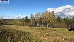 111, 16326 Twp Rd 675 Plamondon, Alberta