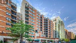 217 - 80 Saint Patrick Street Toronto (Kensington-Chinatown), On
