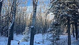 Lot 1046 Tagish Estates