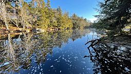 13.95 Acre Riverfront Lot With Driveway, Clearing, Mins To 103