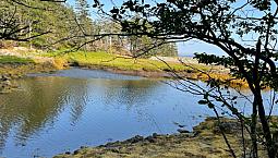 Oceanfront Estate Sized Lot In Beautiful Nova Scotia Last 2 Lots
