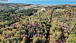 Lot 11 Edmond Road Point Cross, Nova Scotia