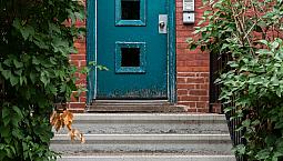 Move In Today! 1 Bedroom Apartment In The Glebe - Pretoria Ave